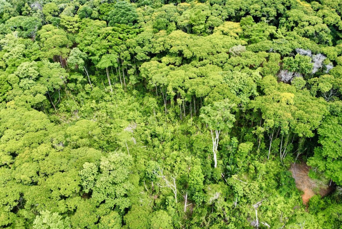 OCEAN AND FOREST VIEW PROPERTY MINUTES TO THE BEACH – 5.11 ACRES
